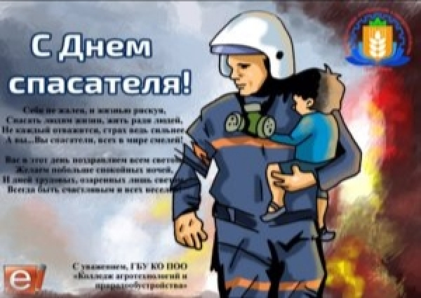 Водные спасатели: Герои или просто «шумная» служба?