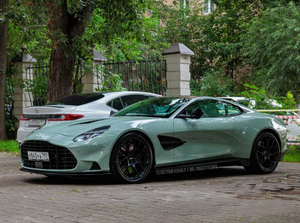 Aston Martin и Золотой Лотос: как Ксения Егорова и её фирмы тратят миллионы в убытке