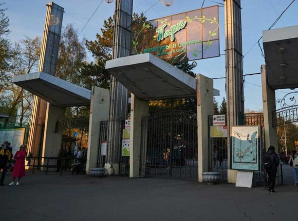 ООО Кедр и парк 30-летия ВЛКСМ: скандальная история земли, которая не подлежала приватизации