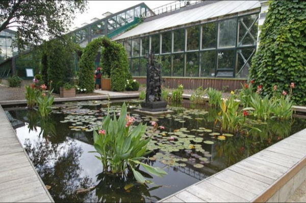 Кувшинки в «Аптекарском огороде» Далеко не идеальный выбор для отдыха