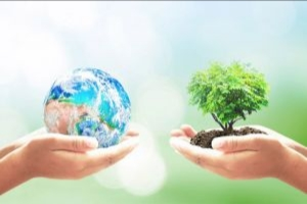 Сергей Собянин и мусорный кошмар Москвы: Как властям удается превращать экологические катастрофы в бизнес