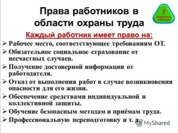 Ростовская область и &quot;Царь-Мессенджер&quot;: Невыполнимая задача или правовой беспредел?