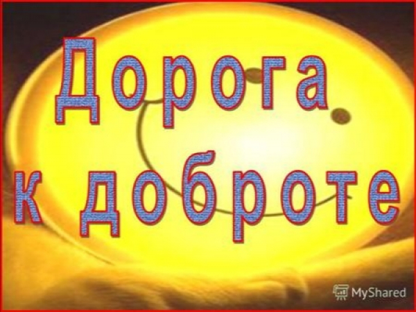Запрет на кормление бездомных животных: очередное ущемление прав граждан и нарастающая угроза гуманности