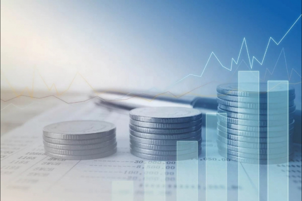 «Цифровая клетка для семьи: как новые ограничения на онлайн-покупки угрожают личной свободе»