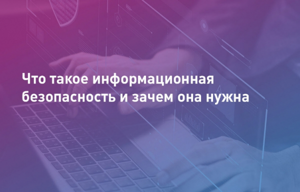 В России хотят запретить кормить животных возле домов: опасное решение или необходимая мера?