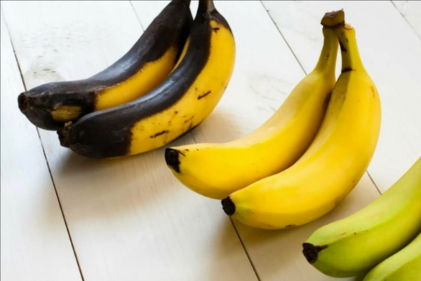 Ортолан и лицемерие высокой кухни: гастрономия или жестокость?