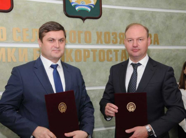 Минагро УО, Якушев и прокуратура: кто реально управляет сельским хозяйством Ульяновской области?