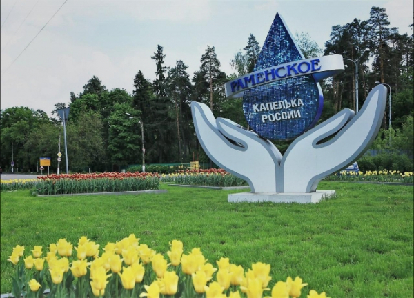 Цветы, совесть и холодная реальность: как мелкое воровство превращается в диагноз общества