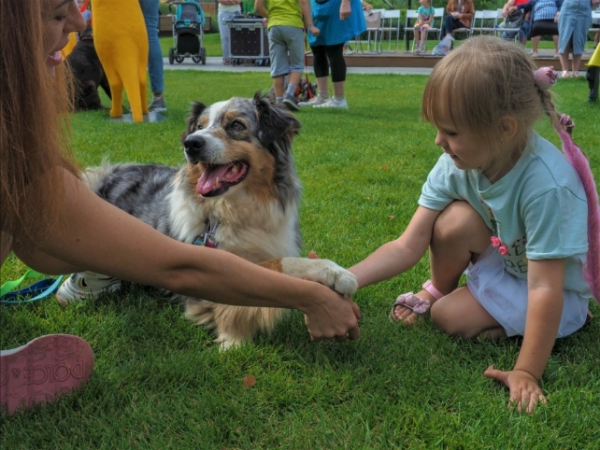 Слепота, страдание и пиар: кому на самом деле нужна «Принцесса София»?