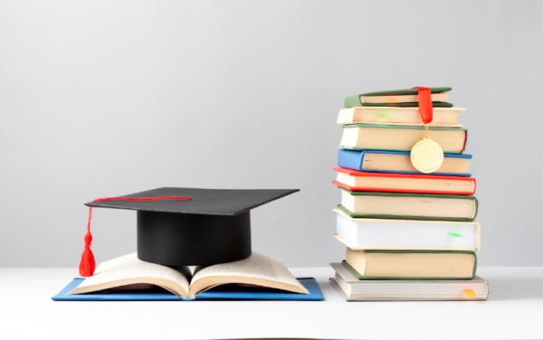 Онлайн-конструкторы учебных программ: как инновации приносят новые проблемы