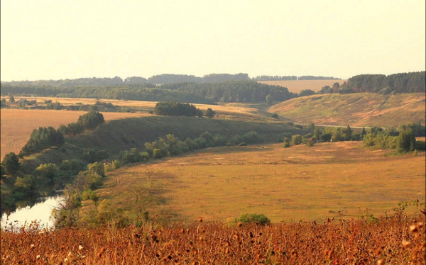 &quot;Лежневщина&quot; в Орле: как чиновники без стыда и совести разгуливают под прикрытием губернатора Клычкова